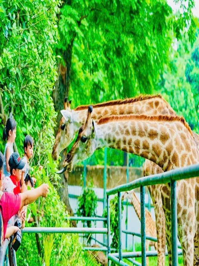 Homestay 花ren Ho Chi Minh City